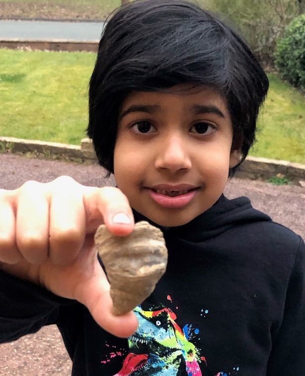 Đang chơi đùa trong sân, cậu bé 6 tuổi phát hiện san hô cổ xưa hiếm có
