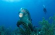 Kỳ thú xem cá heo mũi chai dùng san hô để “làm đẹp"