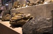 Tận mục phiến đá cổ niên đại "khủng" 2,9 tỷ năm độc nhất VN