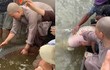 Phóng sinh cá hải tượng long, netizen tranh cãi làm thiện hay gây hại