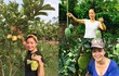 Nhà vườn bạt ngàn cây trái của nghệ sĩ Chiều Xuân ở ngoại thành Hà Nội