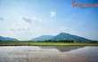 Bức tranh phong cảnh tuyệt vời ở mảnh đất An Giang