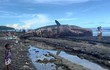 Xác cá nhà táng dạt vào bờ biển Philippines, chuyên gia lo ngay ngáy 