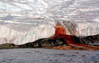 Nam Cực bất ngờ xuất hiện "tuyết máu", chuyên gia lo ngay ngáy 