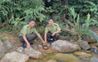 Thả rùa sa nhân về tự nhiên ở Bắc Giang: Cực quý hiếm!