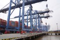 Hoa Kỳ hỗ trợ giảm ùn tắc tại Cát Lái, cảng container nhộn nhịp nhất Việt Nam