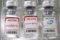 Ba loại vaccine COVID-19 giảm hiệu quả bảo vệ sau 6 tháng