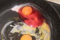 Đập trứng vào chảo, bà nội trợ hốt hoảng thấy lòng trắng màu hồng