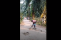 Video: Người đàn ông dùng tay không tóm gọn rắn hổ mang khổng lồ