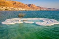 Ở giữa Biển Chết có một hòn đảo kỳ diệu trắng tinh như tuyết