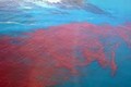 Biển Đỏ có thực sự là màu đỏ như tên gọi?