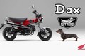 Honda ST125 Dax 2023 trình làng với kiểu dáng chó "lạp xưởng"