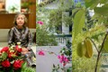 Hé lộ không gian sống của “nữ tướng” Sơn Kim Group