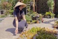 Biệt thự vườn của Hà Thanh Xuân trước khi thành vợ “Vua cá Koi“