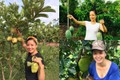 Nhà vườn bạt ngàn cây trái của nghệ sĩ Chiều Xuân ở ngoại thành Hà Nội