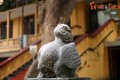 Huyền bí bức tượng chim Chu Tước ở lăng Trần Thủ Độ