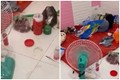 Netizen sốc với clip phòng trọ bị 3 cô gái biến thành bãi rác
