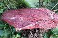 Video: Vừa ăn vừa lo với món đặc sản “thịt bò kiến đốt” có một không hai
