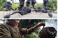 2 “dị nhân” Việt hốt bạc nhờ nghề lạ