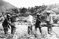 Số phận của tù binh trong cuộc chiến tranh Triều Tiên