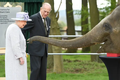 Loạt ảnh quý hiếm minh chứng Nữ hoàng Elizabeth II rất yêu động vật 