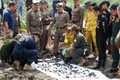 Điều tra án mạng, cảnh sát vớt 298 mảnh xương dưới ao cá sấu