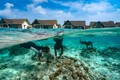 'Lạc trôi' đến 5 đảo san hô tuyệt nhất thế giới