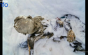 Xác hai nạn nhân mất tích 55 năm nổi trên núi tuyết