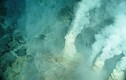 Kỳ thú khám phá rãnh đại dương sâu nhất quả đất