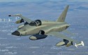 Mua lại tiêm kích F-5E cũ rích, Mỹ có toan tính gì khiến Nga, Trung lo ngại?