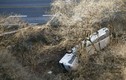 Lật xe buýt tại Nhật, 14 người thiệt mạng