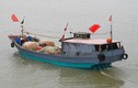 Tàu đánh cá: Công cụ lấn biển của Trung Quốc