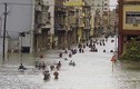 Siêu bão Irma biến đường phố La Habana thành sông