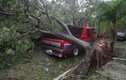 Kinh hoàng siêu bão Irma tàn phá bang Florida của Mỹ
