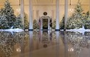 Nhà Trắng lộng lẫy mùa Giáng sinh đầu tiên của nhà ông Trump