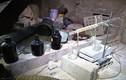 Đột nhập “nơi sản xuất vũ khí hóa học” của phiến quân ở Douma