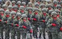 Tổng thống Duterte thách quân đội Philippines đảo chính