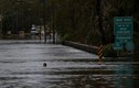 Dân Mỹ khốn khổ vì ngập lụt kinh hoàng sau siêu bão Florence