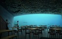 Độc đáo nhà hàng dưới nước lớn nhất thế giới
