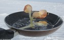 Kinh ngạc cách con người nấu ăn ngoài trời ở Nam Cực