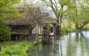 Ghé thăm vùng đất đẹp tựa tiên cảnh ở Nhật Bản