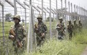 Đấu súng tại biên giới Ấn Độ-Pakistan, nhiều người thiệt mạng