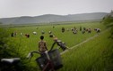 Vén màn bí mật cuộc sống của người nông dân ở Triều Tiên