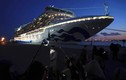 Hai hành khách nhiễm virus corona từ du thuyền Diamond Princess đã tử vong