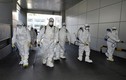 Ca nhiễm virus corona đầu tiên tử vong ở Hàn Quốc, 104 người mắc bệnh