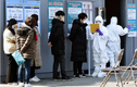 COVID-19: Số người nhiễm tăng vọt ở Hàn Quốc, khu Koreatown ở Mỹ báo động