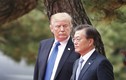 Mỹ quay cuồng trong “bão” Covid-19, Tổng thống Trump vội nhờ Hàn giúp