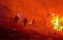Toàn cảnh California “chìm trong biển lửa” vì cháy rừng dữ dội