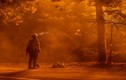 Thảm họa cháy rừng ở Mỹ: Hàng chục người chết, mất tích