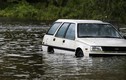 Mỹ đối mặt lũ lụt lịch sử vì bão Sally